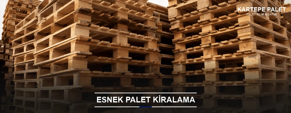 Kartepe Uygun Fiyatlı Palet Kiralama Kartepe Uygun Fiyatlı Palet Kiralama